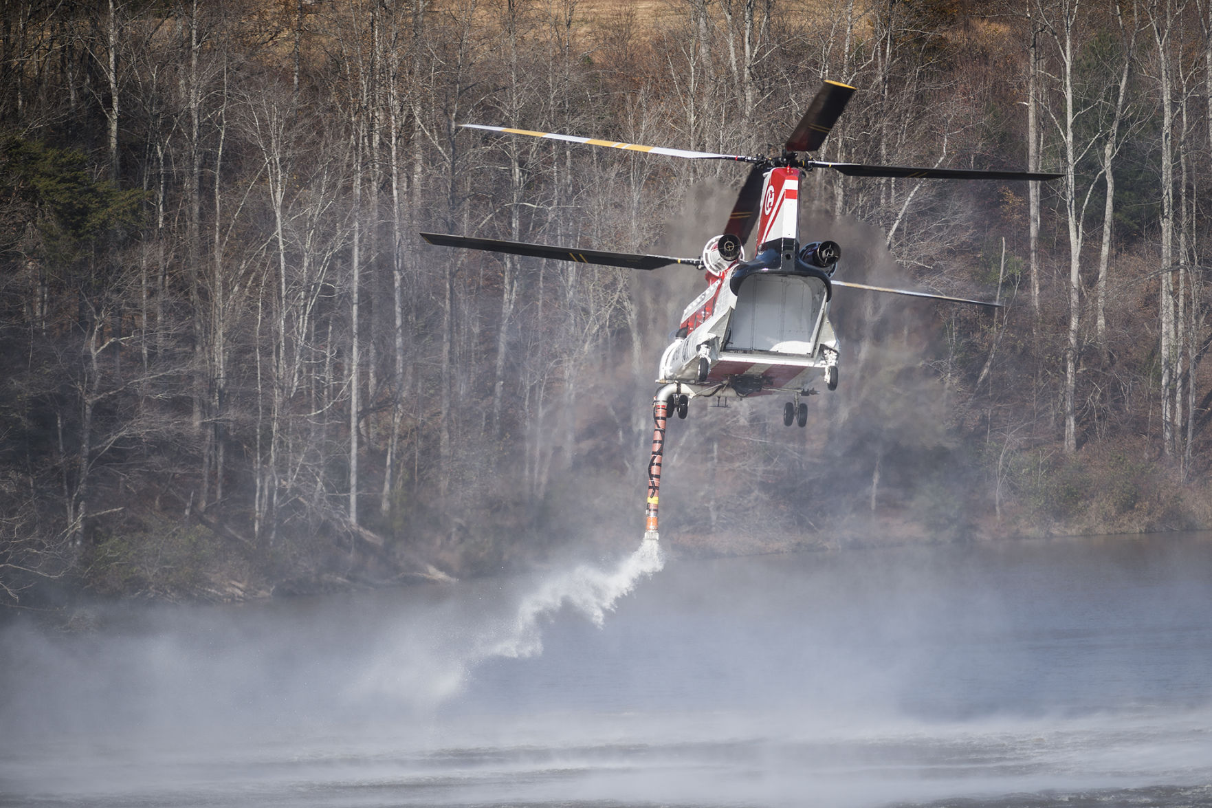 LNA 11212016 Forest Fire 19